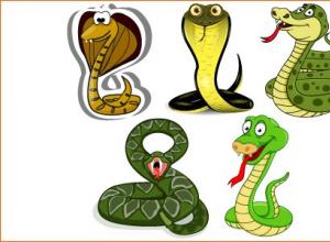 Dictionary of Mythical Serpents