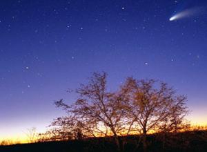 Γιατί ονειρεύεστε έναν κομήτη που πέφτει στον νυχτερινό ουρανό;