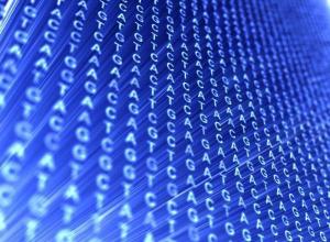 Τι είναι το DNA και το RNA στη βιολογία;