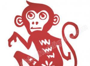 Maymun: tavsifi va xususiyatlari