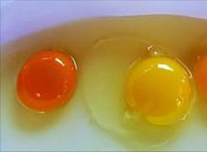 Skaičių magija Kodėl svajojate apie kiaušinio trynį?