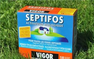 Bacteria for septic tanks and cesspools: principles of action and types What biological products for cesspools can process