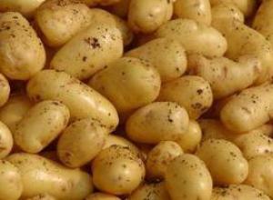 Πώς να μαγειρέψετε τηγανητά μανιτάρια με πατάτες