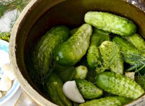 Pickling cucumbers: recipes