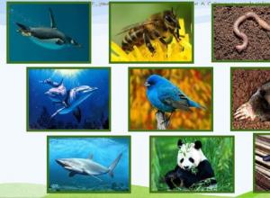 Fattori ambientali, schemi generali della loro azione sugli organismi viventi Fattori ambientali e organismi abiotici